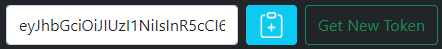 header showing token and copy